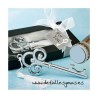 Abridor llave plateada 