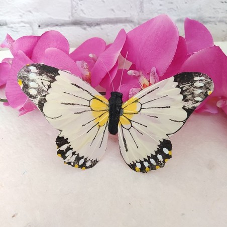 Mariposa de Pluma Iris crema